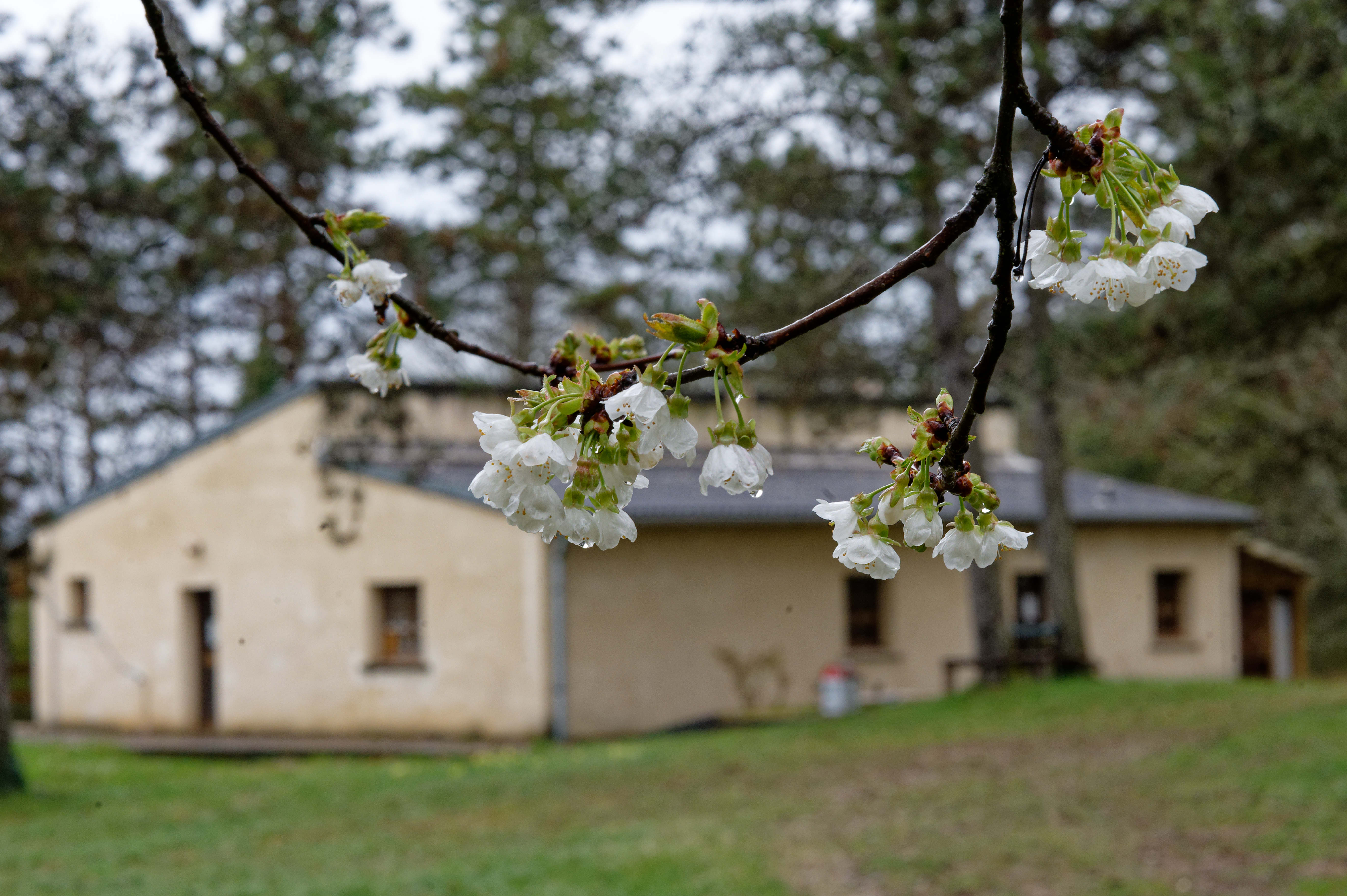 Arbeitseinsatz zu Pfingsten beim UNAM-Team