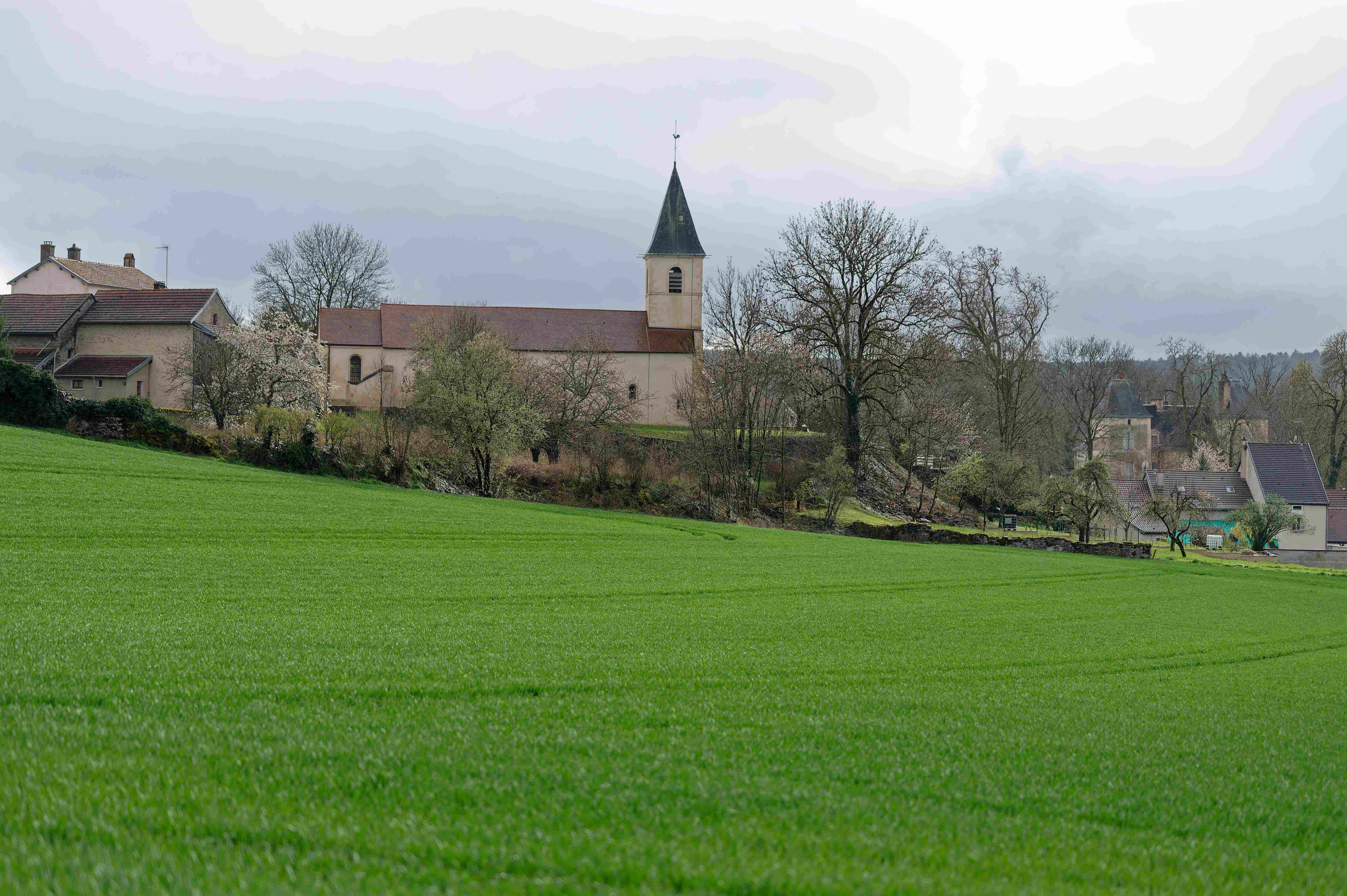 Foto aus Ostern, 2024