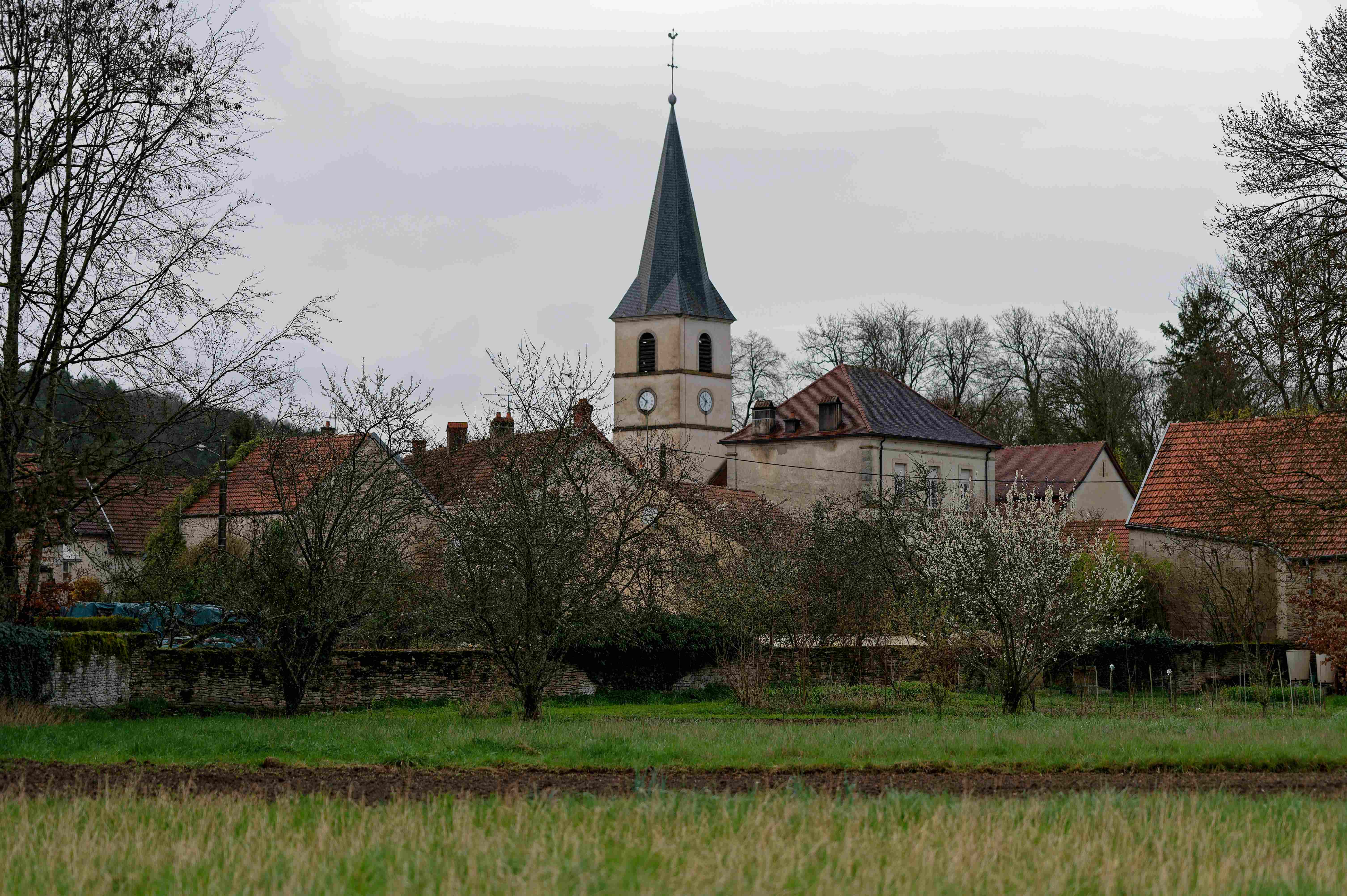 Foto aus Ostern, 2024